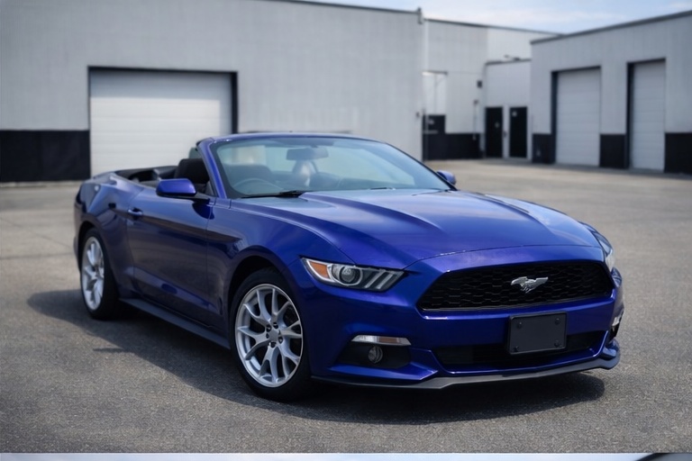 mustang front or rear 2.jpg